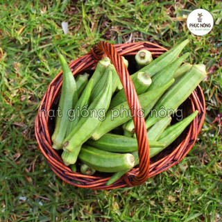 20gr - (Hỏa tốc) Hạt giống Cây Đậu Bắp Xanh