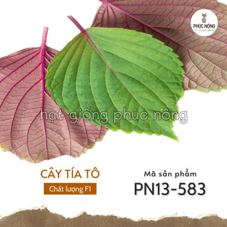Hạt giống rau tía tô - 2 gram