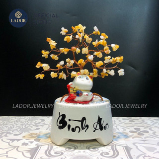 Cây phong thủy để bàn làm việc và trang trí - Đá tự nhiên đủ cung mệnh hút may mắn và Bình An Lador Jewelry