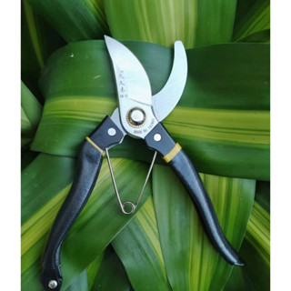 kéo cắt cành tỉa cành lưỡi thép Sk5 dụng cụ bon sai cây cảnh làm vườn siêu sắc hàng loại 1