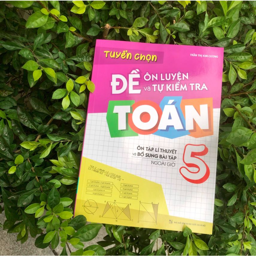 Sách tham khảo - Toán lớp 5 chương trình mới