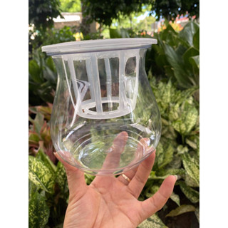 (sieure) chậu nhựa thuỷ sinh tặng kèm giá đỡ chỉ 23k(kt 12x10), cốc thuỷ canh, bán thuỷ sinh giả thuỷ tinh