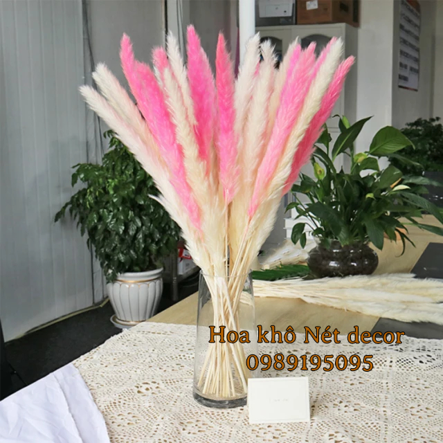 Bó Hoa khô Bông cỏ Lau Hồ ly xù không rụng hàng nhập siêu bền