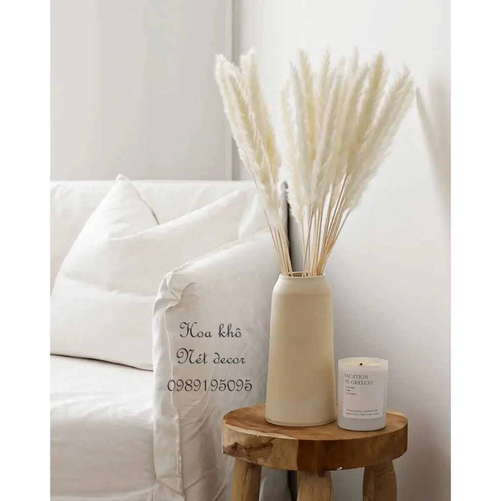 Bó Hoa khô Bông cỏ Lau Hồ ly xù không rụng hàng nhập siêu bền