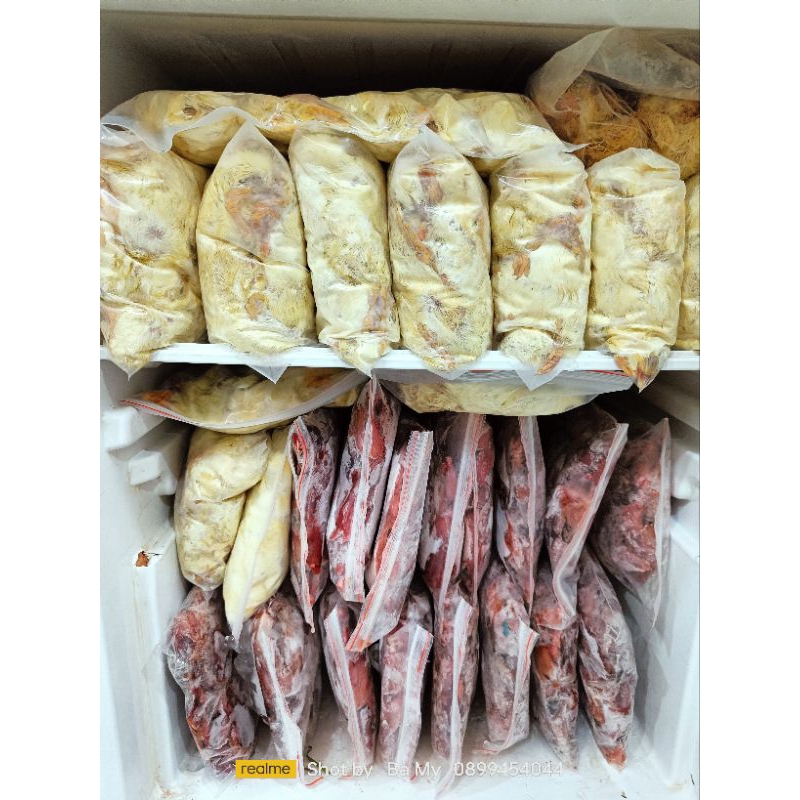 Chim cút đông lạnh - Thức ăn cho chim săn, chó mèo