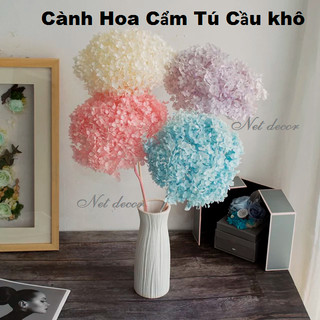 Cành hoa Khô Cẩm Tú Cầu Hydrangea decor trang trí nhà cửa