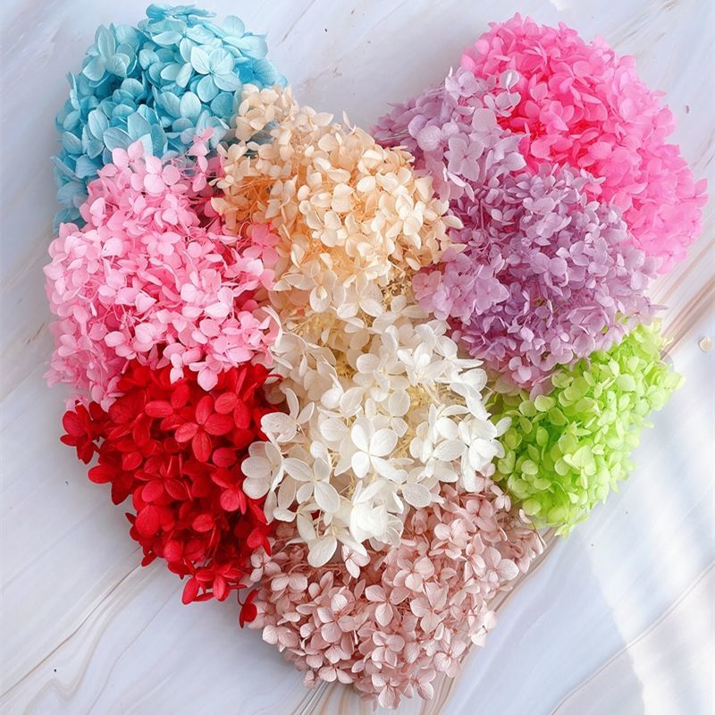 Cành hoa Khô Cẩm Tú Cầu Hydrangea decor trang trí nhà cửa