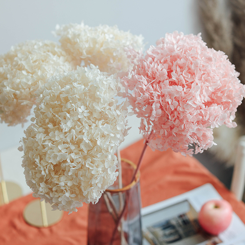 Cành hoa Khô Cẩm Tú Cầu Hydrangea decor trang trí nhà cửa