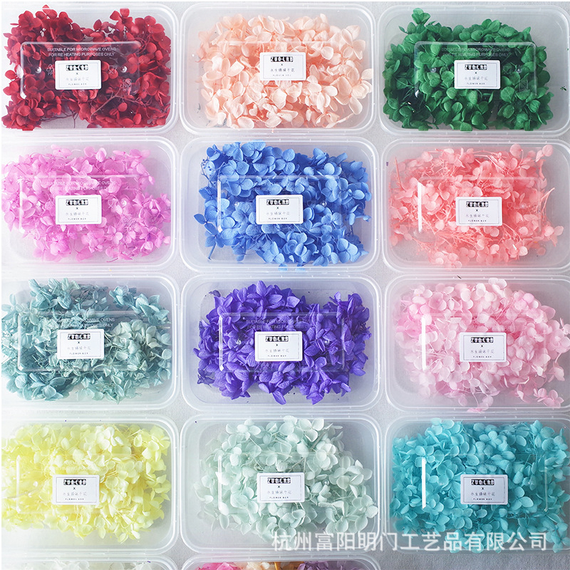 Cành hoa Khô Cẩm Tú Cầu Hydrangea decor trang trí nhà cửa