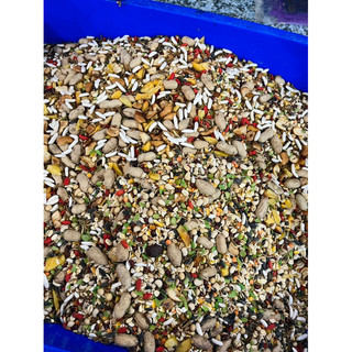 Ngũ cốc hamter/ngũ cốc đặc biệt