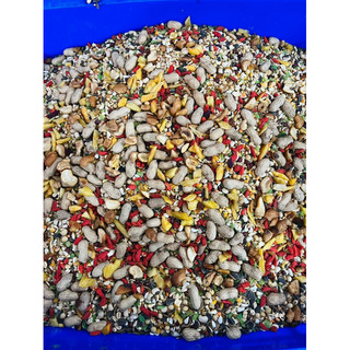 Ngũ cốc hamter/ngũ cốc đặc biệt