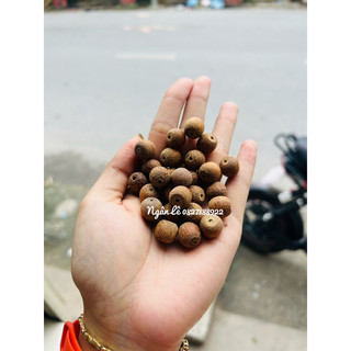 Bi tre lồng chim