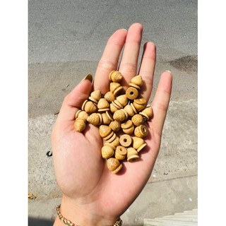 (combo 10c)bi tre lồng chim