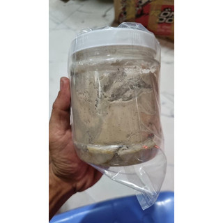 Mồi câu cá lăng, cá da trơn siêu nhạy