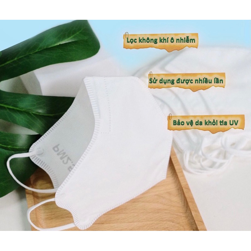 Khẩu Trang Người Lớn Chống Khói Bụi Và Ngăn Vi Khuẩn Mayan 3D Mask Medi