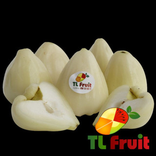 Cây Mận Trắng Sữa (siêu sớm) cây ghép
