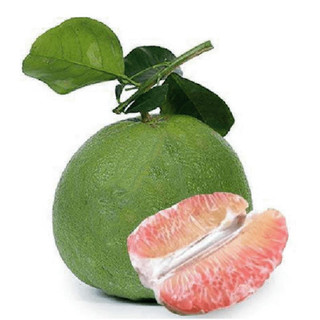 Cây giống bưởi da xanh(1bầu cây)