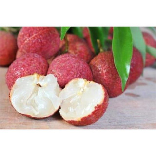 Cây giống vải thiều hạt lép(1caay)
