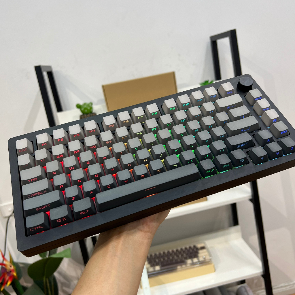 Bộ keycap polar day OEM Ninja xuyên led chất liệu PBT doubleshot 134 nút chính hãng