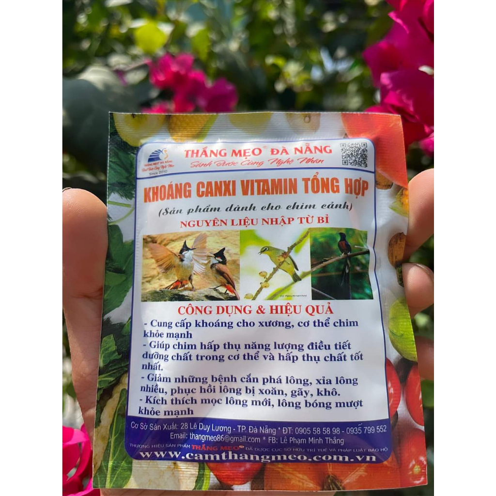 CÁM THẮNG MẸO ĐÀ NẴNG VÀ CÁM KHOÁNG SĂC TỐ THAY LÔNG