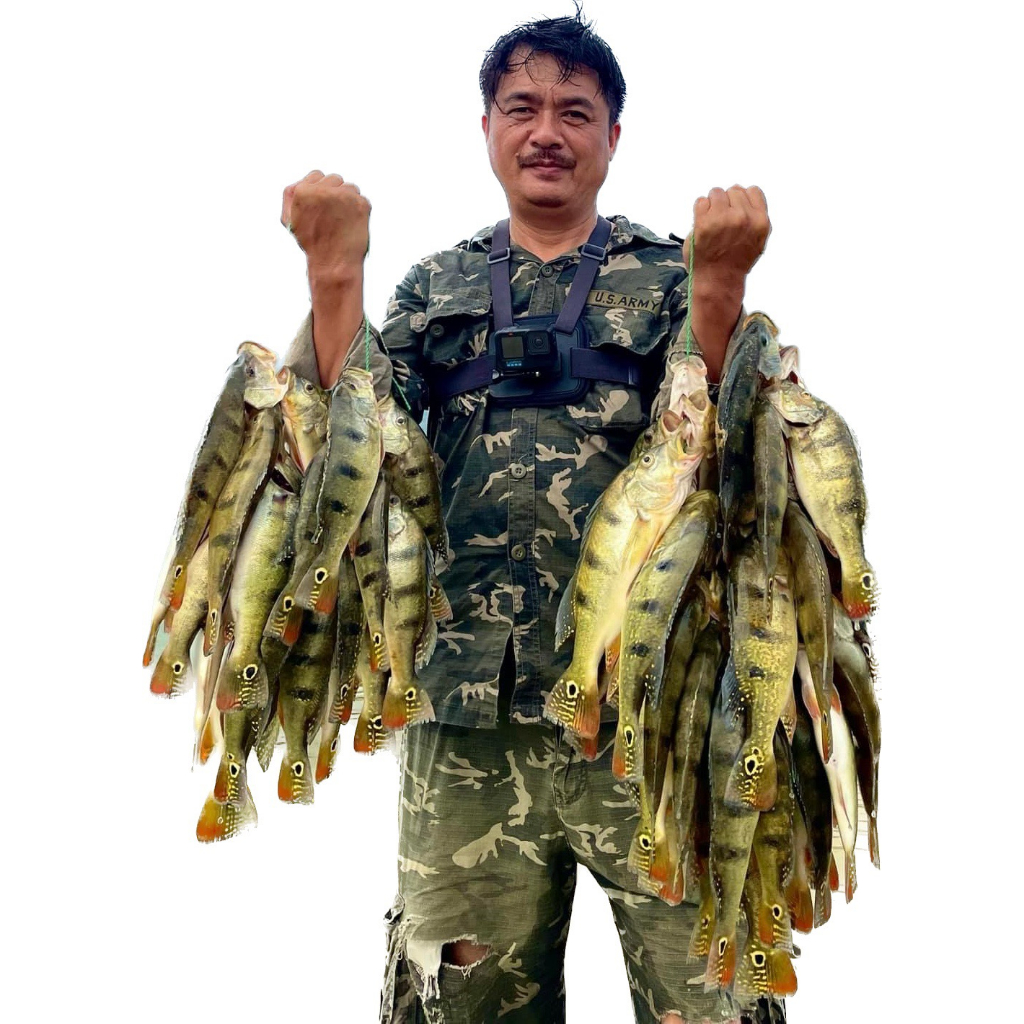 Mồi lure MINOW câu hoàng đế 10cm - 12g , câu măng, vược giá rẻ