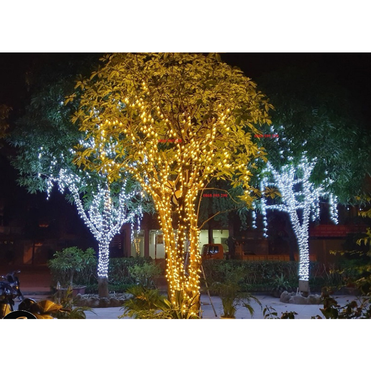 Đèn trang trí dây led đúc F5 điện áp 12V chống nước dùng quấn cây trang trí quán cafe , sân vườn