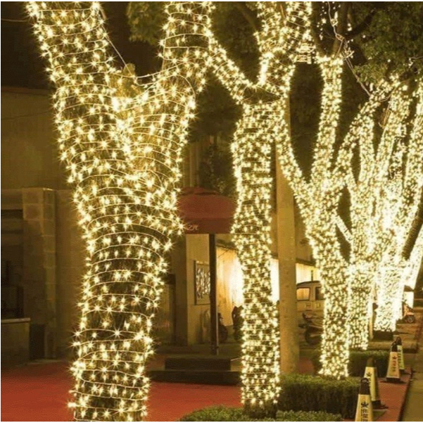 Đèn trang trí dây led đúc F5 điện áp 12V chống nước dùng quấn cây trang trí quán cafe , sân vườn