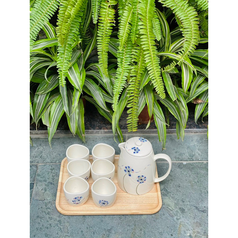 Bộ bình nước bình trà gốm Bát tràng hoạ tiết dễ thương hình hoa, dưa hấu - Bình 1 lít + cốc 180ml - Gốm sứ Bát tràng