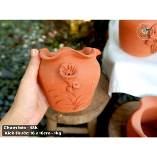 Chum bèo - chậu đất nung trồng cây