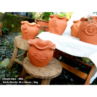 Chum bèo - chậu đất nung trồng cây