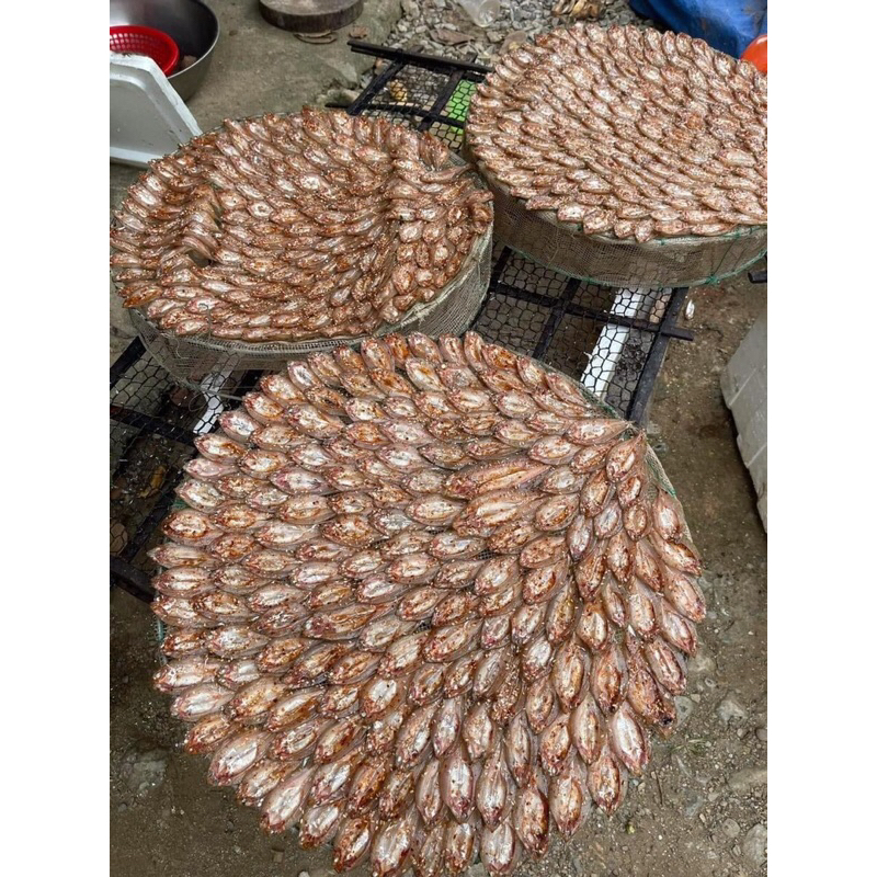 Cá tép dầu Sông Đà