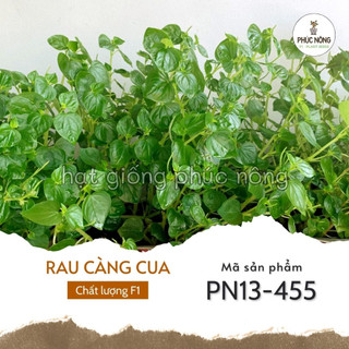 Hạt giống rau càng cua - 0,5 gram