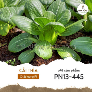 Hạt giống rau cải thìa - 3500 hạt