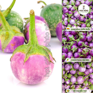 Hạt giống cây Cà Pháo Tím - 1 Gram