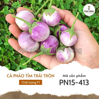 Hạt giống cây cà pháo tím - 1 gram