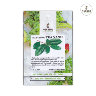 Hạt giống cây Chè Xanh (Trà Xanh) - 15 Hạt