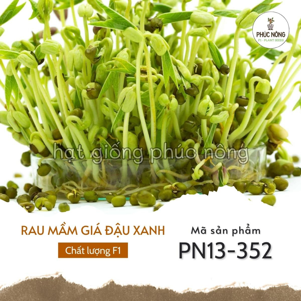 Hạt giống Rau Mầm Giá Đậu Xanh - 50 Gram