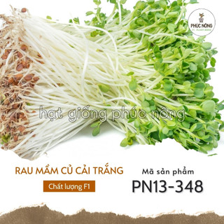 Hạt giống rau mầm củ cải trắng - 50 gram