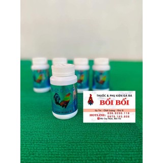 Hủ 100v b12-15 xanh dương hừng gà, lên bo cho gà