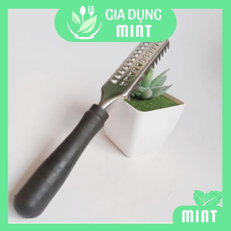 Dụng cụ đánh vảy cá, cây cạo vẩy cá inox tiện lợi