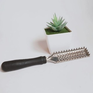 Dụng cụ đánh vảy cá, cây cạo vẩy cá inox tiện lợi