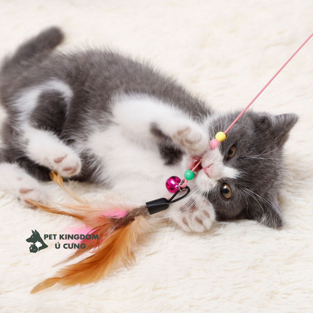 Cần Câu Mèo Dây Thép - Đồ Chơi Cho Mèo