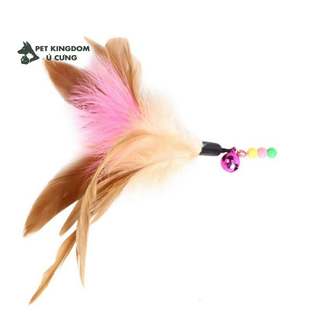 Cần Câu Mèo Dây Thép - Đồ Chơi Cho Mèo