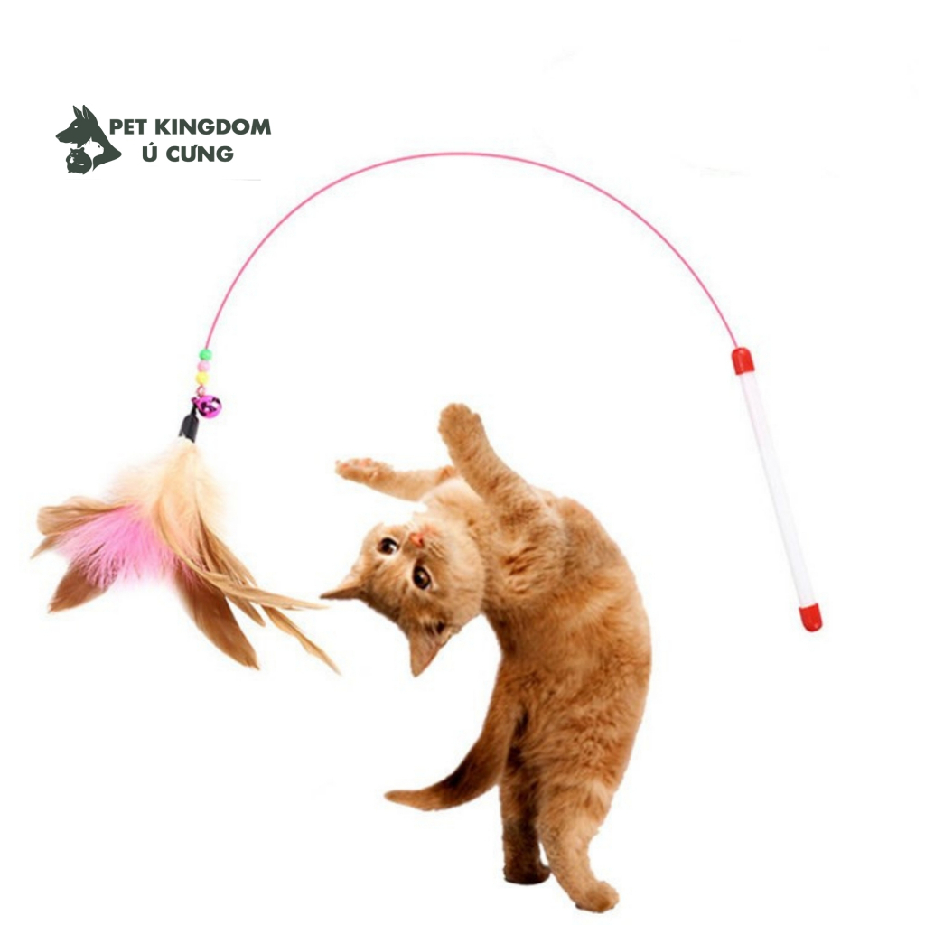 Cần Câu Mèo Dây Thép - Đồ Chơi Cho Mèo