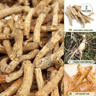 Hạt giống Nhân Sâm USA – Gói 5 hạt |