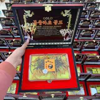 - ĐÔNG TRÙNG HẠ THẢO NGUYÊN CON, HỘP GỖ 45G