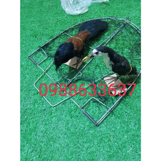 Mẹt bẫy chim , gà , quốc, bìm bịp, cò