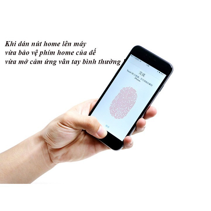 Miếng dán nút Home cho iPhone Wekome, ipad có viền mạ vàng, có nhận dấu vân tay Touch ID, iphone 6/6s/6plus/7plus/8plus