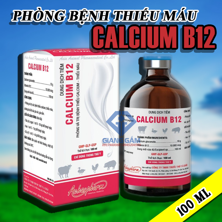 BỔ SUNG CANXI, PHÒNG THIẾU MÁU - CALCIUM B12