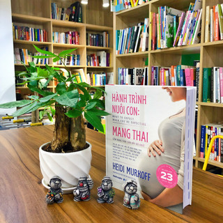 Sách - Hành Trình Nuôi Con : Mang Thai